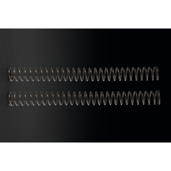 Kawasaki Front fork spring